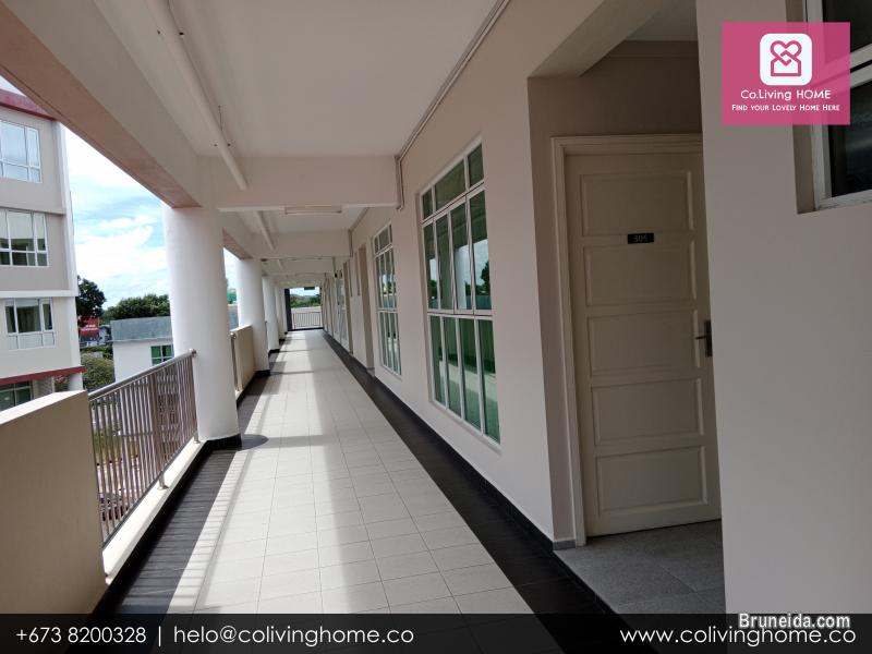 Kiulap - GUNSU HOME FOR RENT (Ask for Price) - image 2