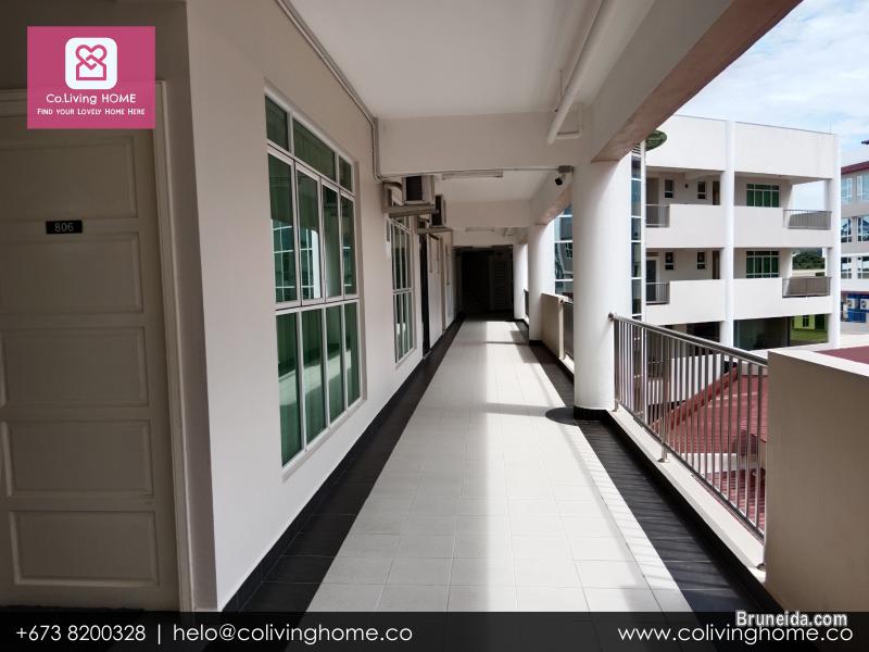 Kiulap - GUNSU HOME FOR RENT (Ask for Price) - image 3