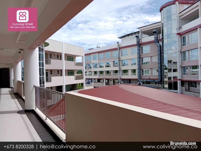 Kiulap - GUNSU HOME FOR RENT (Ask for Price) - image 4