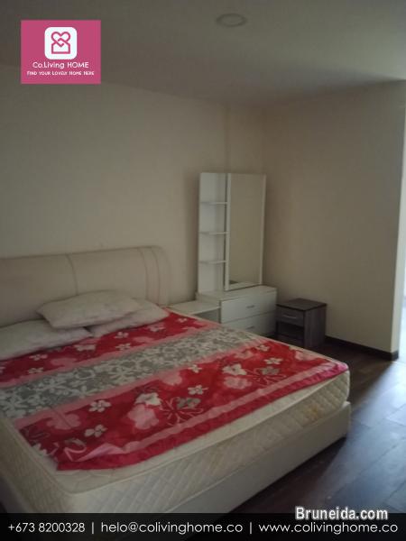 Kiulap - GUNSU HOME FOR RENT (Ask for Price) - image 8