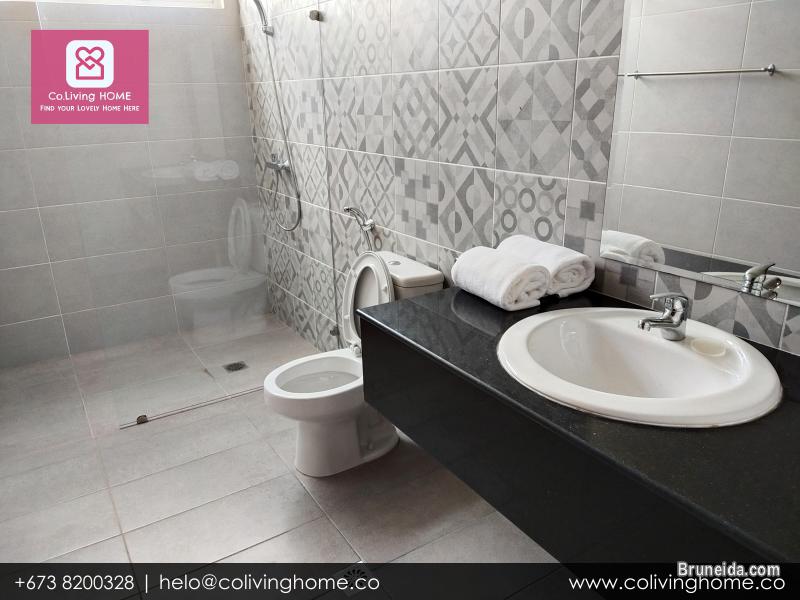 BSB - ZENGIN HOMES FOR RENT $2100 TYPE C - image 12