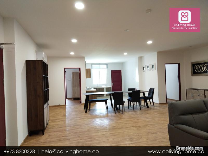 BSB - ZENGIN HOMES FOR RENT $2100 TYPE C - image 4