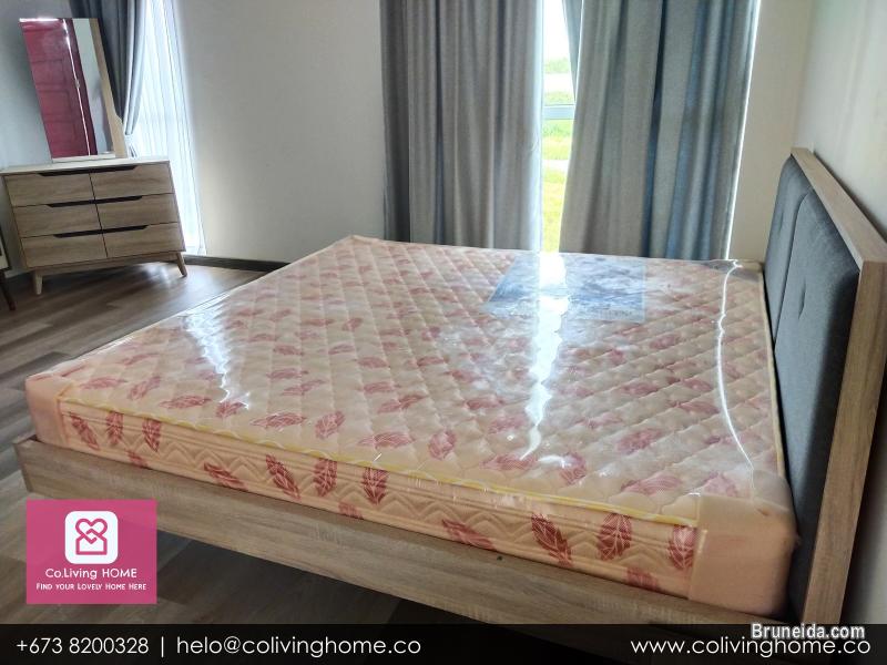 BSB - ZENGIN HOMES FOR RENT $850 TYPE F - image 10