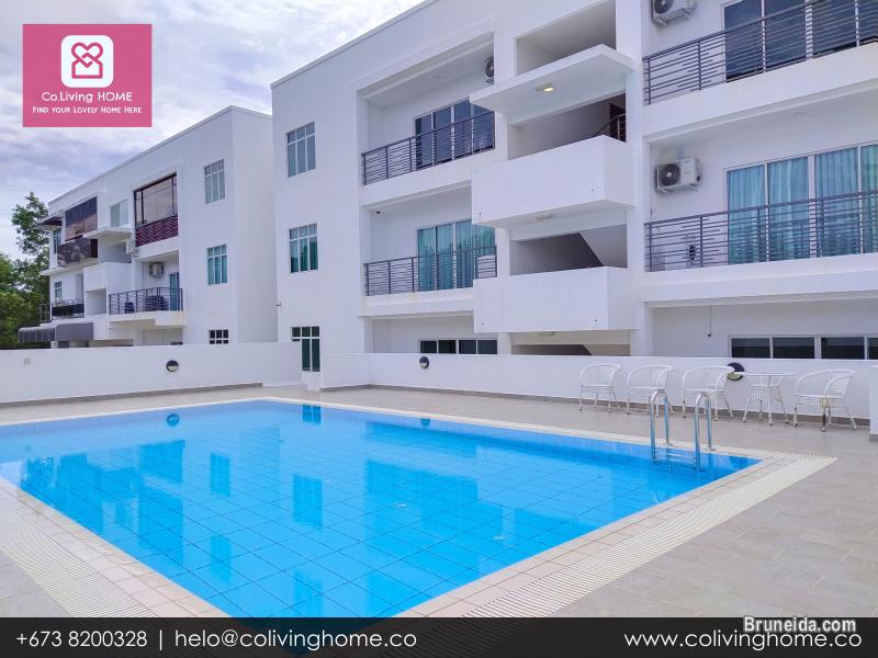 BSB - ZENGIN HOMES FOR RENT $850 TYPE F - image 11