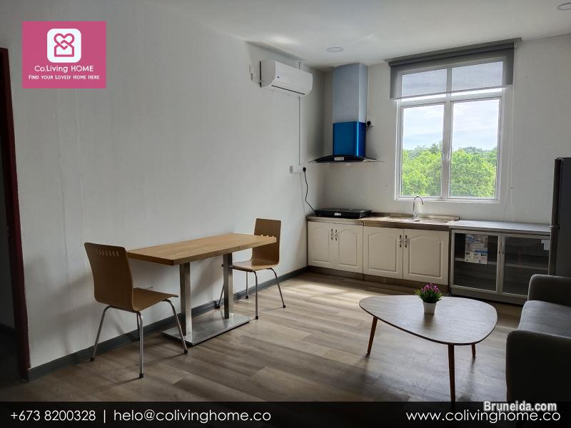 BSB - ZENGIN HOMES FOR RENT $850 TYPE F - image 2