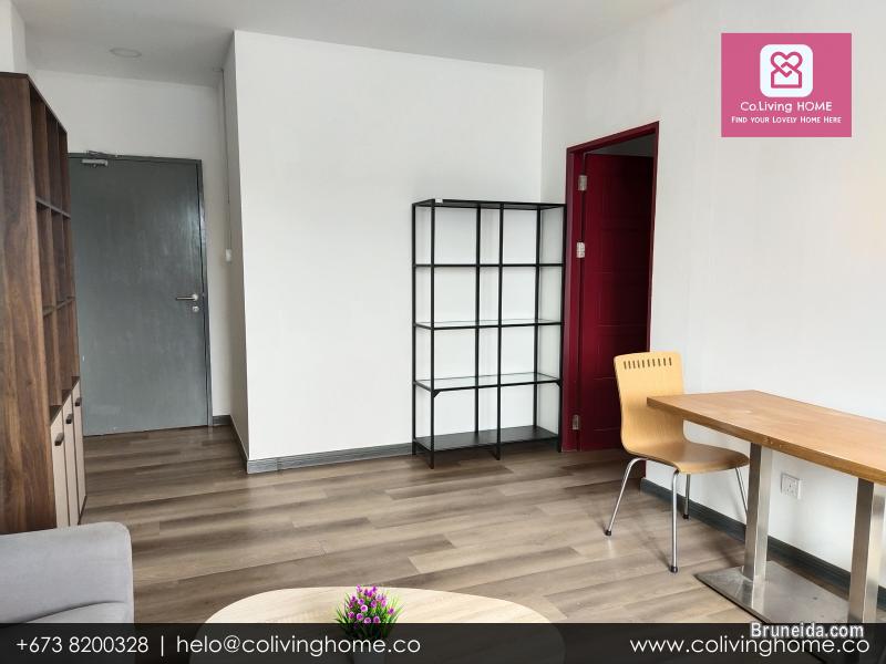 BSB - ZENGIN HOMES FOR RENT $850 TYPE F - image 4