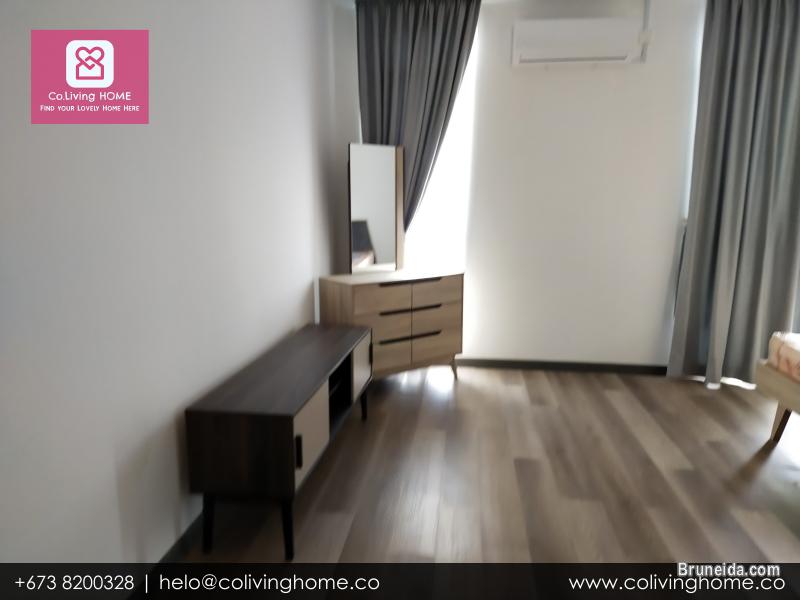 BSB - ZENGIN HOMES FOR RENT $850 TYPE F - image 5