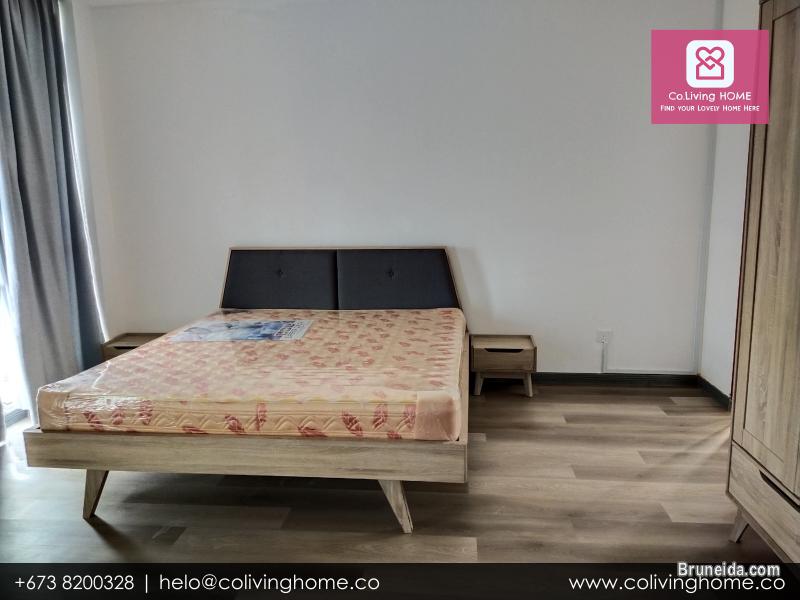 BSB - ZENGIN HOMES FOR RENT $850 TYPE F - image 6