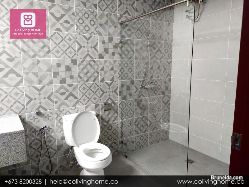 BSB - ZENGIN HOMES FOR RENT $850 TYPE F - image 8