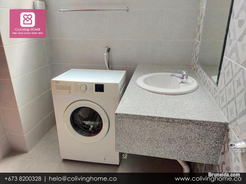 BSB - ZENGIN HOMES FOR RENT $850 TYPE F - image 9