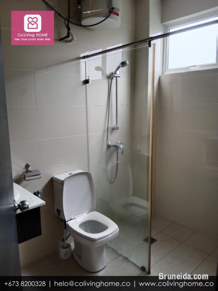 Sg. Akar - EYMEN HOMES FOR RENT $950 - image 11