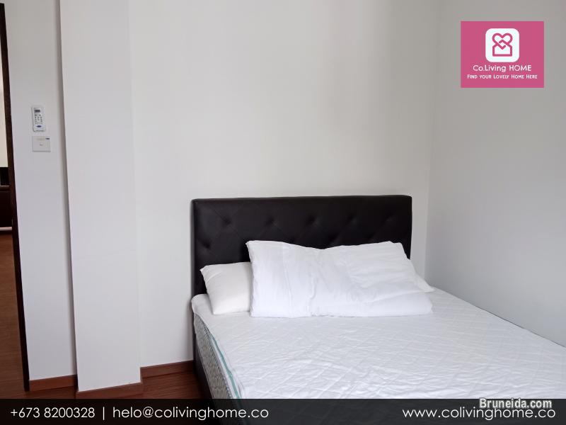 Sg. Akar - EYMEN HOMES FOR RENT $950 - image 12