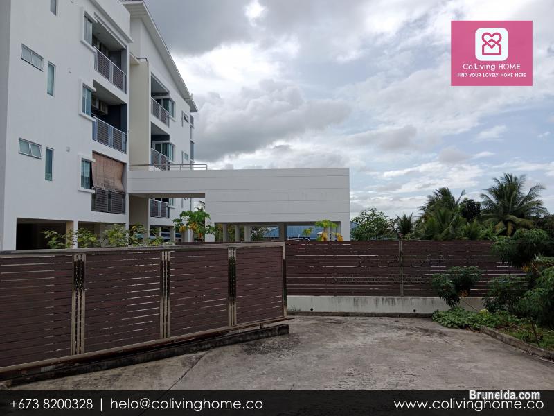 Sg. Akar - EYMEN HOMES FOR RENT $950 - image 7