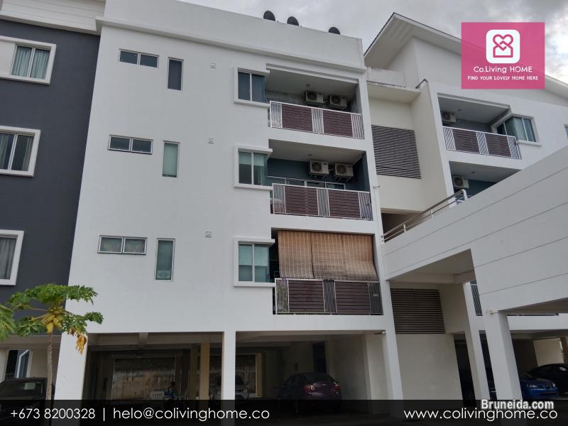 Sg. Akar - EYMEN HOMES FOR RENT $950 - image 8