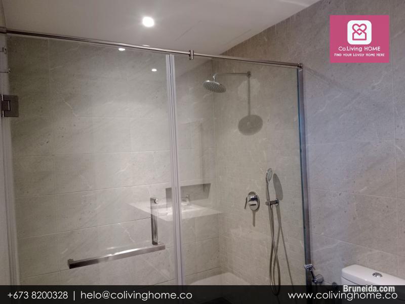 Kiulap - EFE HOME FOR RENT FROM $2K - image 10