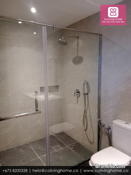 Kiulap - EFE HOME FOR RENT FROM $2K - image 11