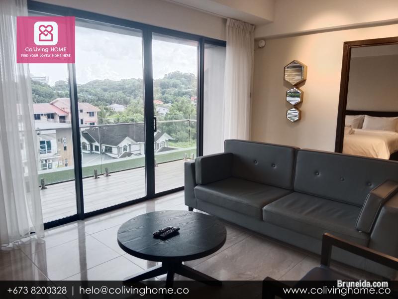 Kiulap - EFE HOME FOR RENT FROM $2K - image 3