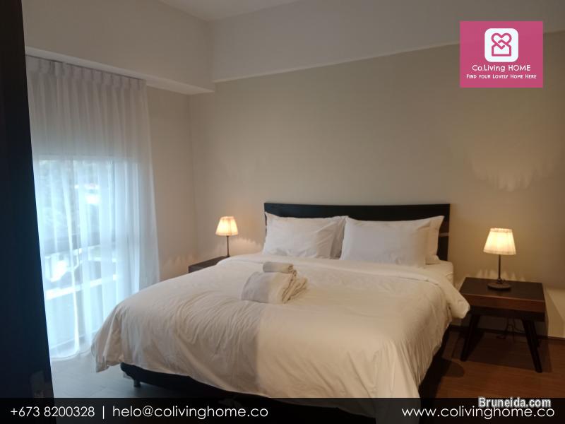 Kiulap - EFE HOME FOR RENT FROM $2K - image 7