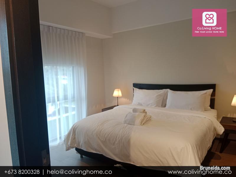 Kiulap - EFE HOME FOR RENT FROM $2K - image 8