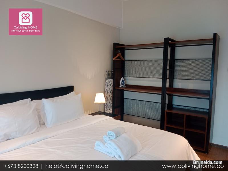 Kiulap - EFE HOME FOR RENT FROM $2K - image 9