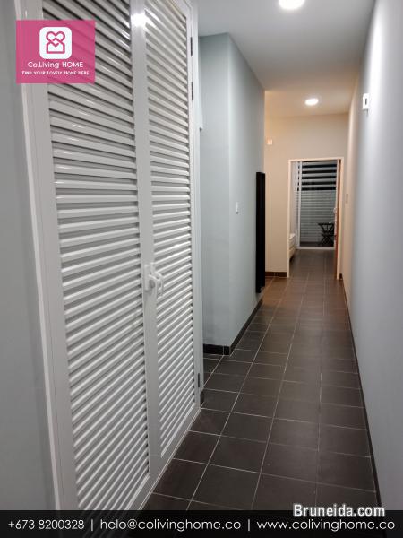 Telanai - BILGE HOMES FOR RENT $1K - image 10