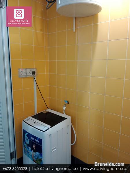 Telanai - BILGE HOMES FOR RENT $1K - image 11