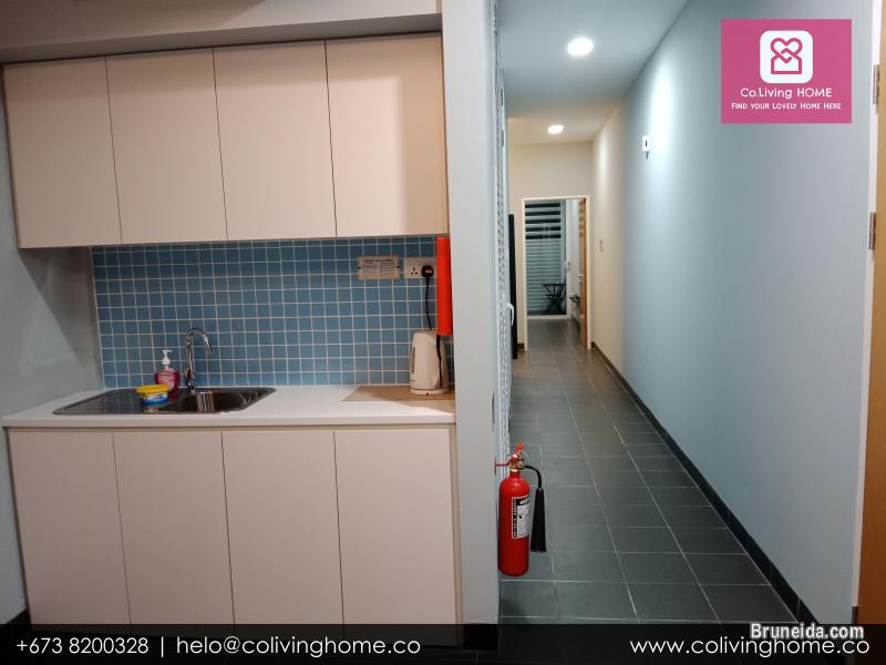 Telanai - BILGE HOMES FOR RENT $1K - image 3