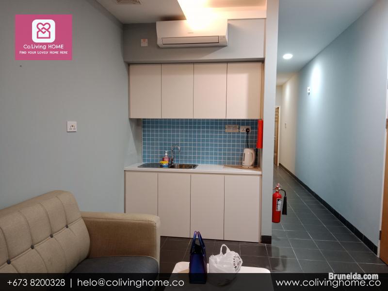 Telanai - BILGE HOMES FOR RENT $1K - image 6