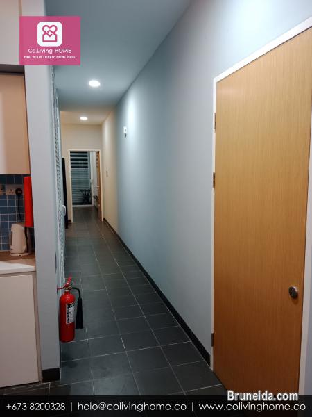 Telanai - BILGE HOMES FOR RENT $1K - image 8