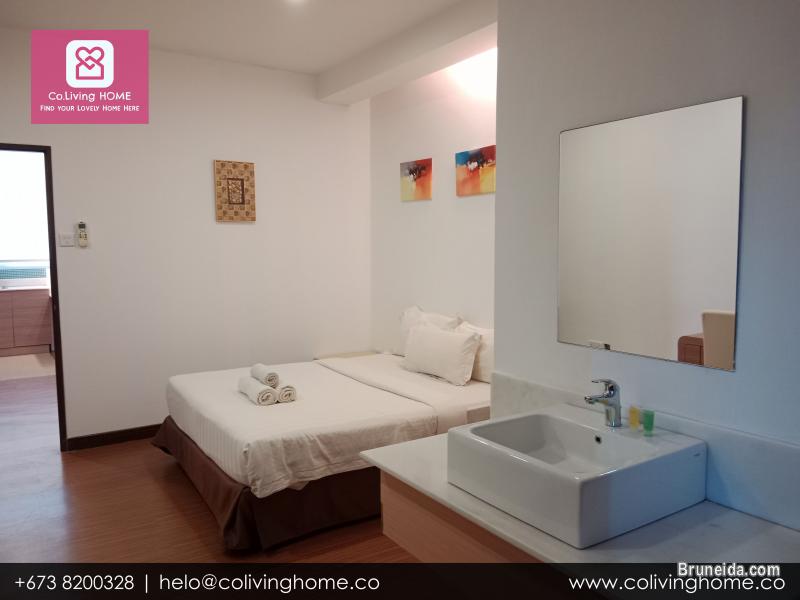 BSB - DILARA HOMES FOR RENT - image 11