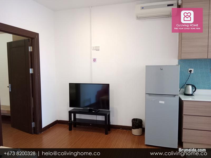 BSB - DILARA HOMES FOR RENT - image 12