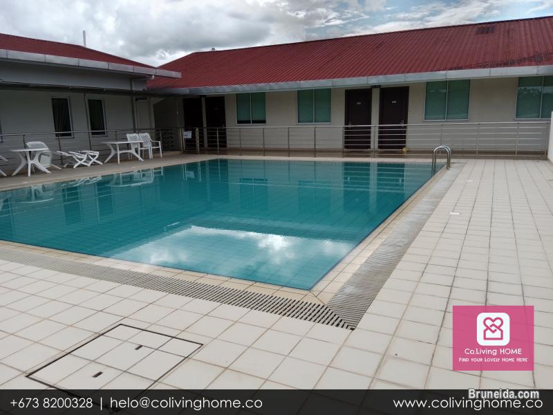 BSB - DILARA HOMES FOR RENT - image 5