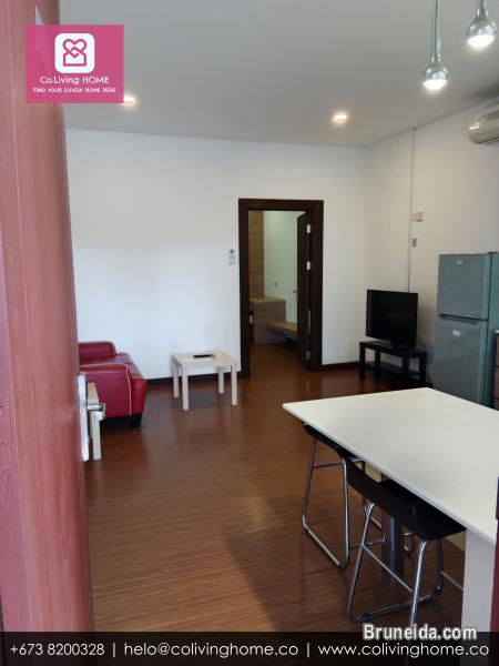 BSB - DILARA HOMES FOR RENT - image 6