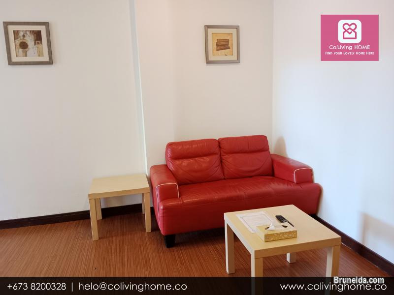 BSB - DILARA HOMES FOR RENT - image 7