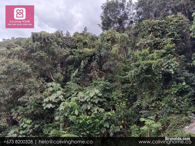 BSB - ALP HOMES FOR SALE - image 10