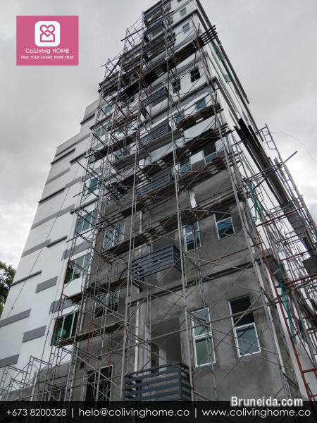 BSB - ALP HOMES FOR SALE - image 3