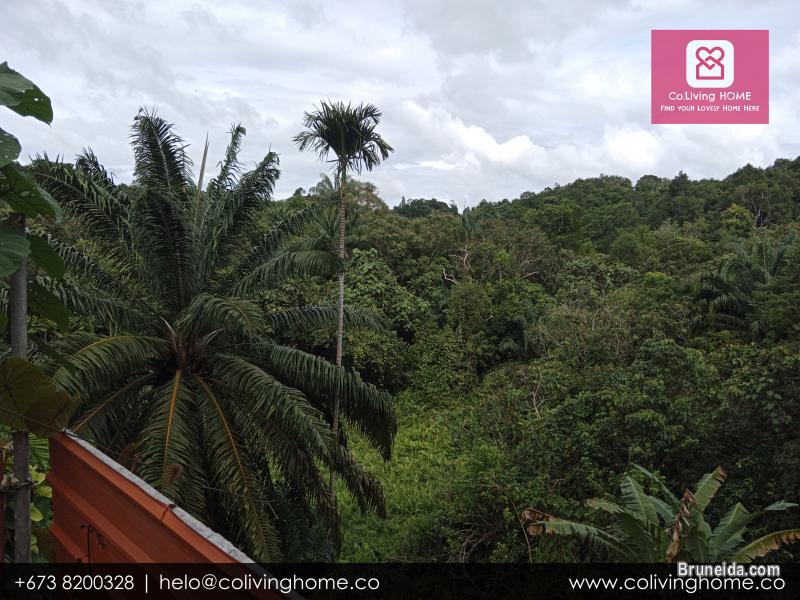 BSB - ALP HOMES FOR SALE - image 9