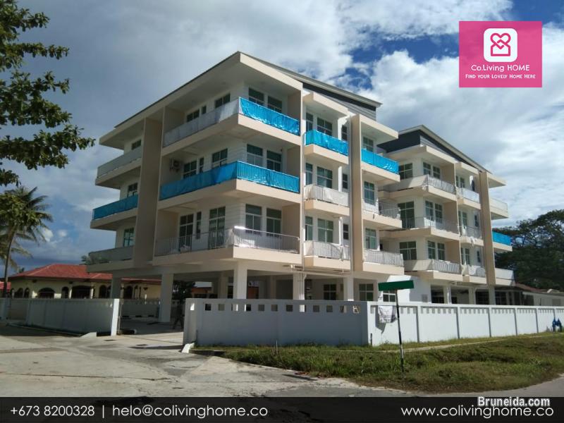 KB, Brunei - CENK HOME FOR SALE $348K - image 3