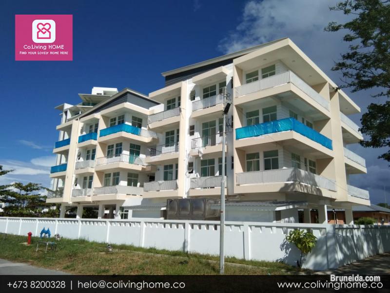 KB, Brunei - CENK HOME FOR SALE $348K - image 4