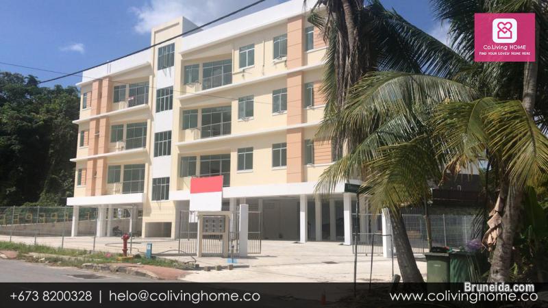 Kiulap - BELGIN HOMES FOR SALE FROM $180K - image 3