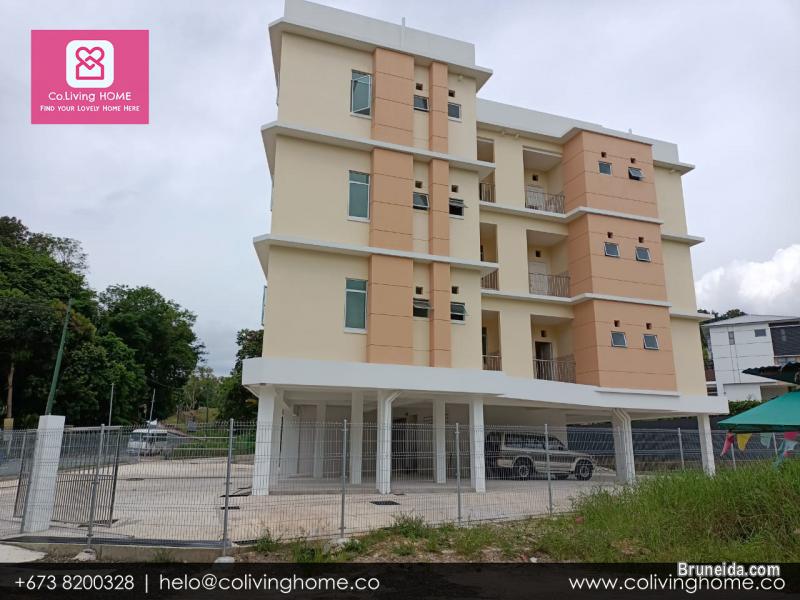 Kiulap - BELGIN HOMES FOR SALE FROM $180K - image 4