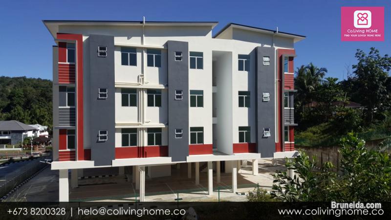 Kg. Subok - DAMLA HOMES FOR RENT $950 - image 2