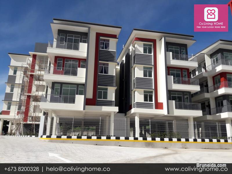 Kg. Subok - DAMLA HOMES FOR RENT $950 - image 3