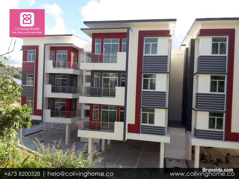 Kg. Subok - DAMLA HOMES FOR RENT $950 - image 7