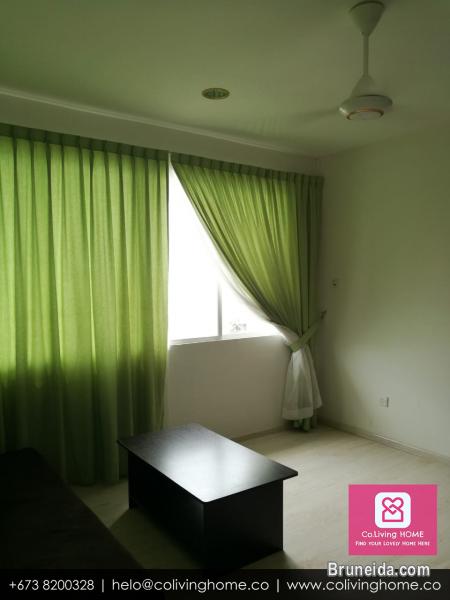 Sg. Akar - SELEN HOME for rent 1. 5K - image 12
