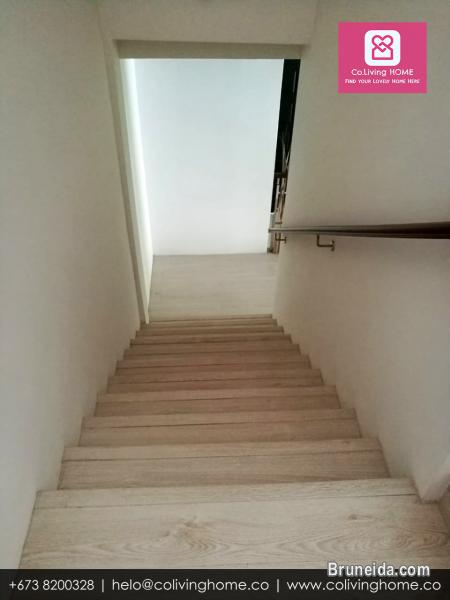 Sg. Akar - SELEN HOME for rent 1. 5K - image 5