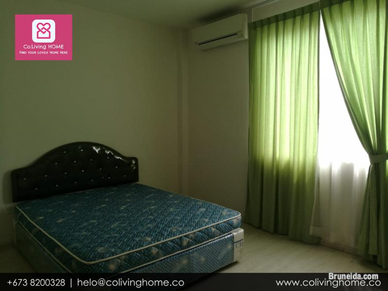 Sg. Akar - SELEN HOME for rent 1. 5K - image 6