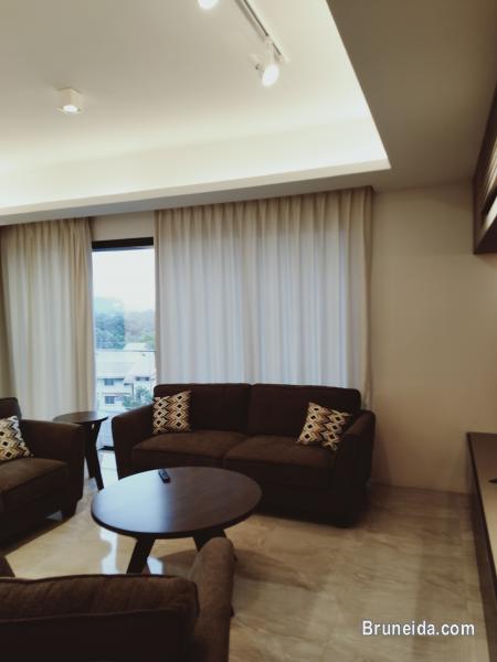 Kiulap - THE HANEKLAUS $2K - image 11