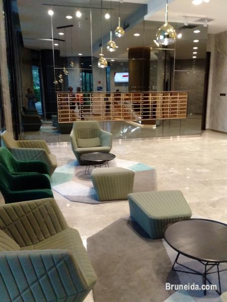 Kiulap - THE HANEKLAUS $2K - image 2