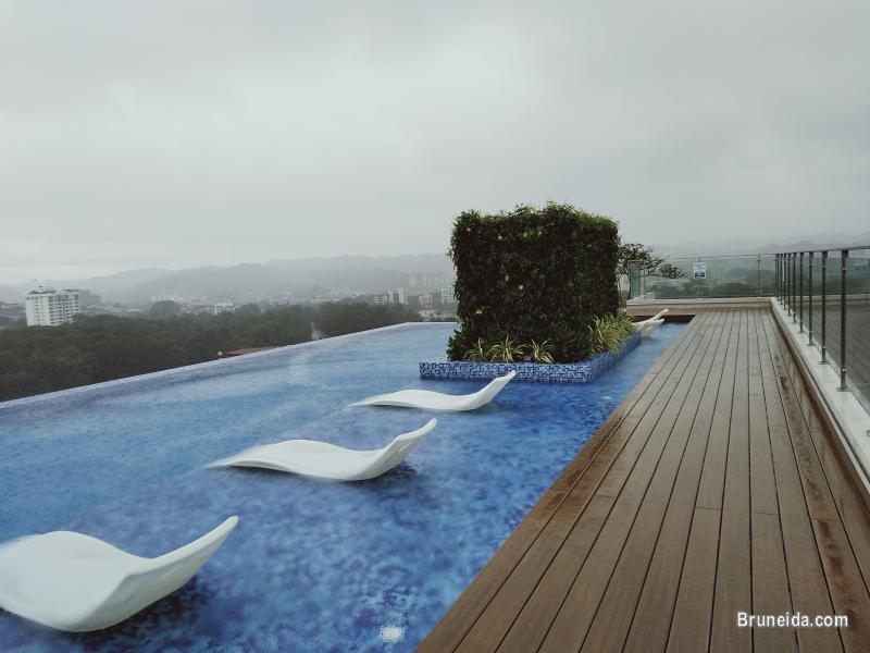 Kiulap - THE HANEKLAUS $2K - image 5